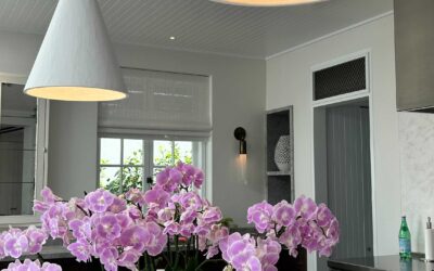 C-Bus vs Dynalite vs KNX: How to Tell Which Lighting Control System You Have